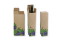 Grape Collection Wine Box
